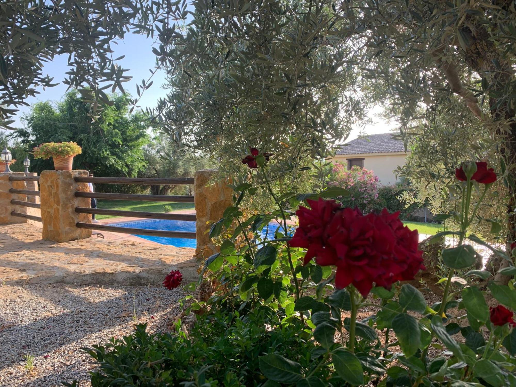 Lenta Suites Pozo Alcon Exterior photo